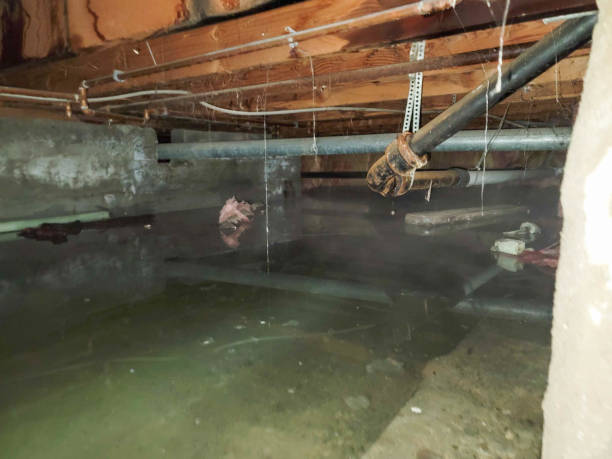 Reliable Madison, FL Water damage restoration Solutions