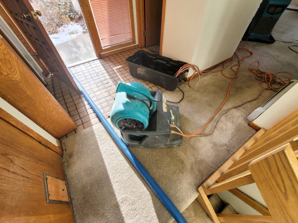 Best Water damage restoration near me  in Madison, FL