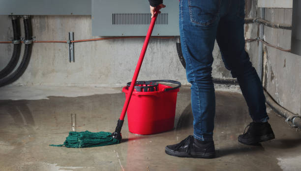 Best Carpet water damage restoration  in Madison, FL