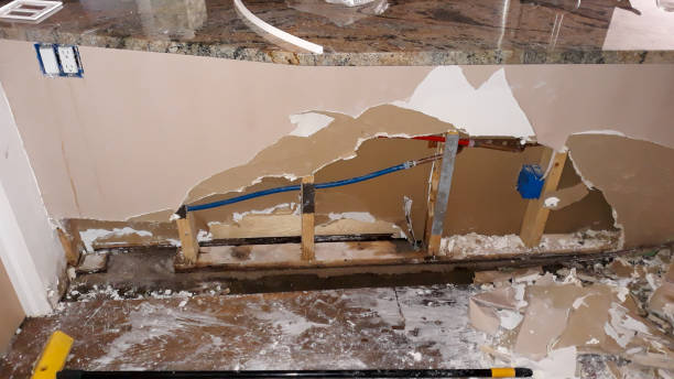 Best Water damage contractors near me  in Madison, FL