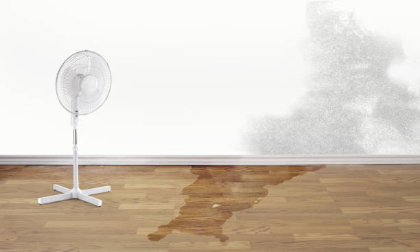Sewage cleanup and water damage restoration in Madison, FL