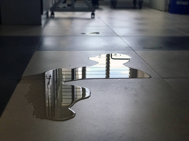 Best Water damage restoration process  in Madison, FL