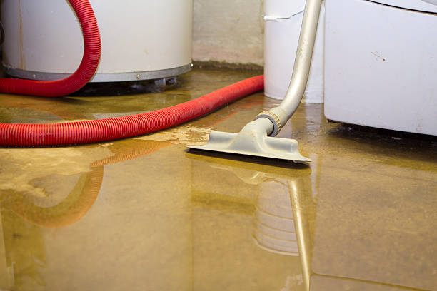  Madison, FL Water damage restoration Pros