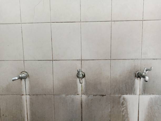 Best Water damage cleanup near me  in Madison, FL