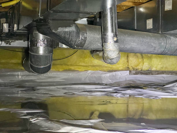 Best Fire Damage Restoration  in Madison, FL