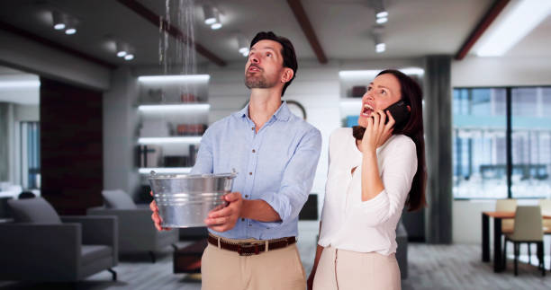 Best Water damage restoration experts  in Madison, FL
