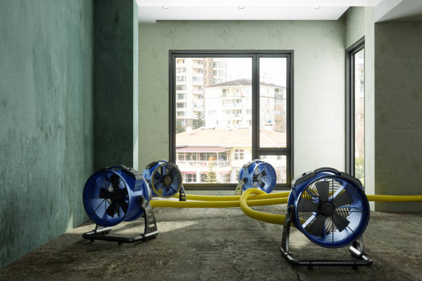Best Flood damage cleanup  in Madison, FL