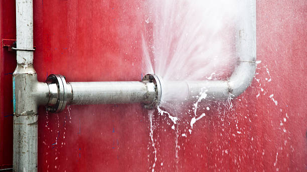 Best Water damage restoration insurance claims  in Madison, FL